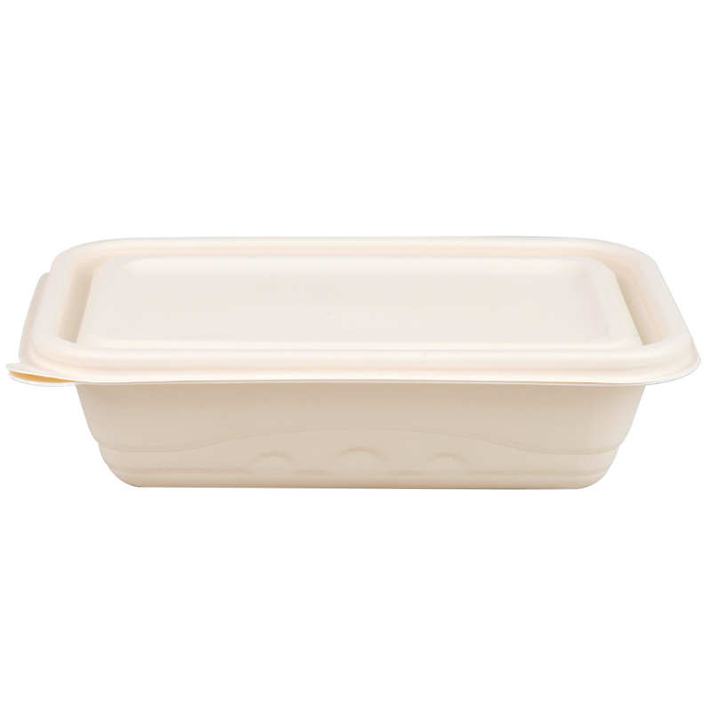 Corn Starch Bento Box