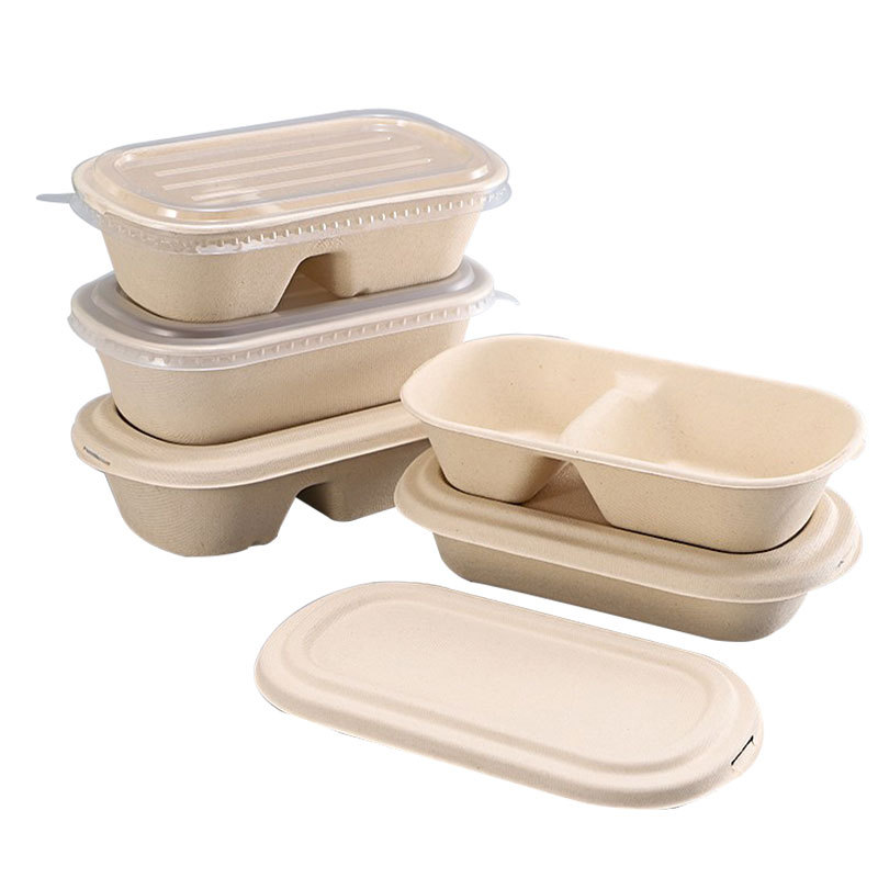 Bagasse Salad Box