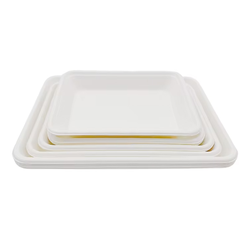 Disposable Sugarcane Rectangular Tray