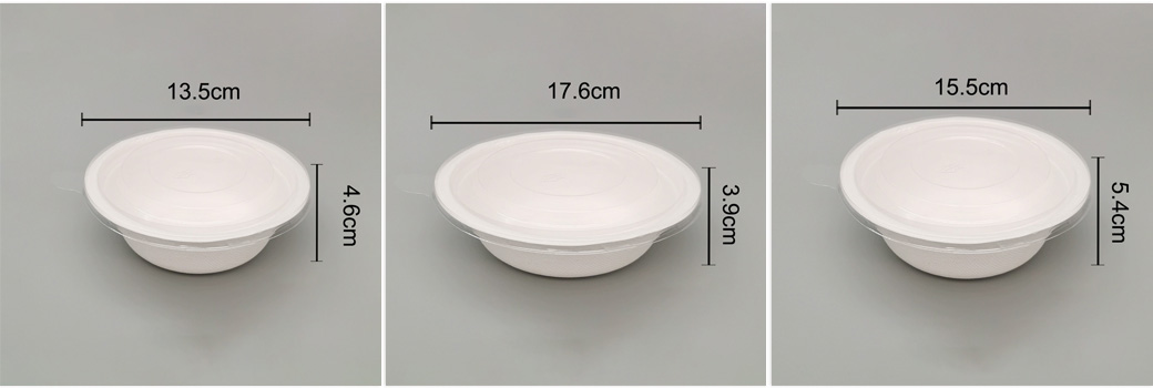 Sugarcane Bagasse Bowls Supplier