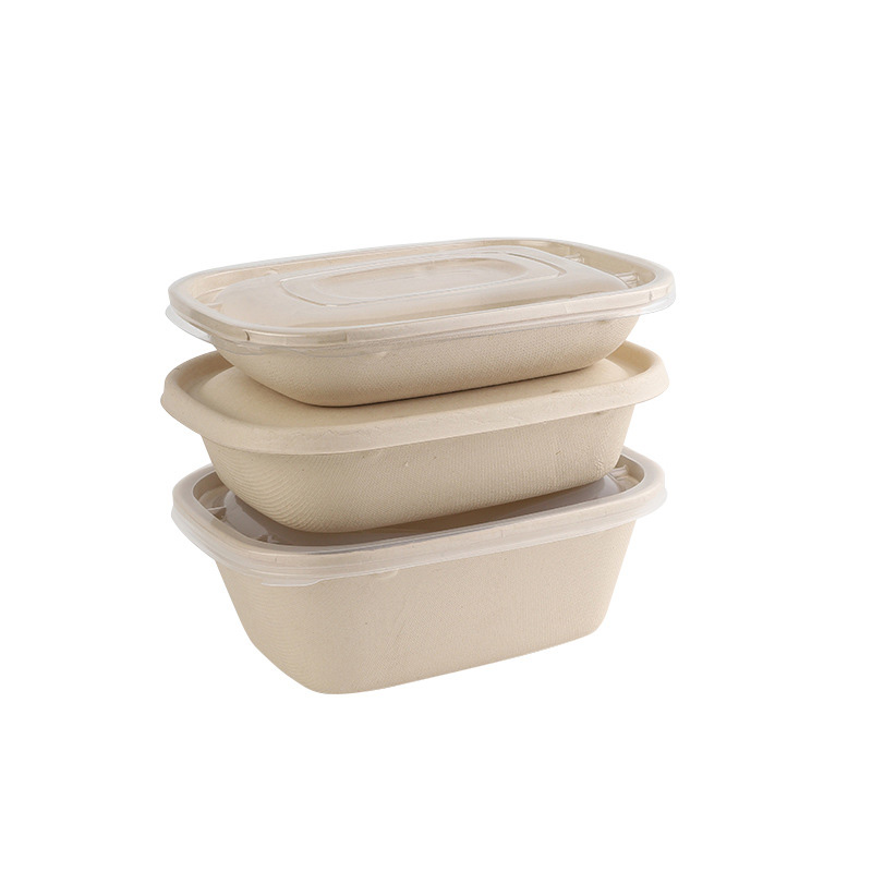 Compostable Sugarcane Food Container