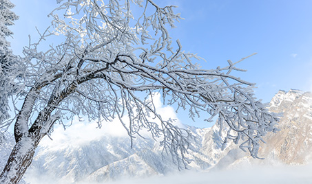 Leichter Schnee: Enthüllung der Weisheit der traditionellen chinesischen Solarbegriffe