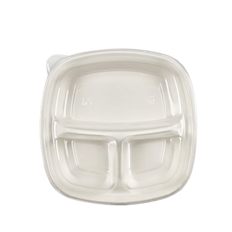 Bagasse Compostable Food Box