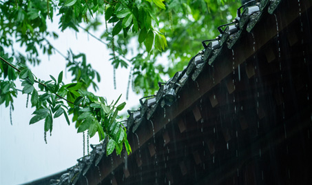 Einer der 24 Solarbegriffe in China: Getreideregen