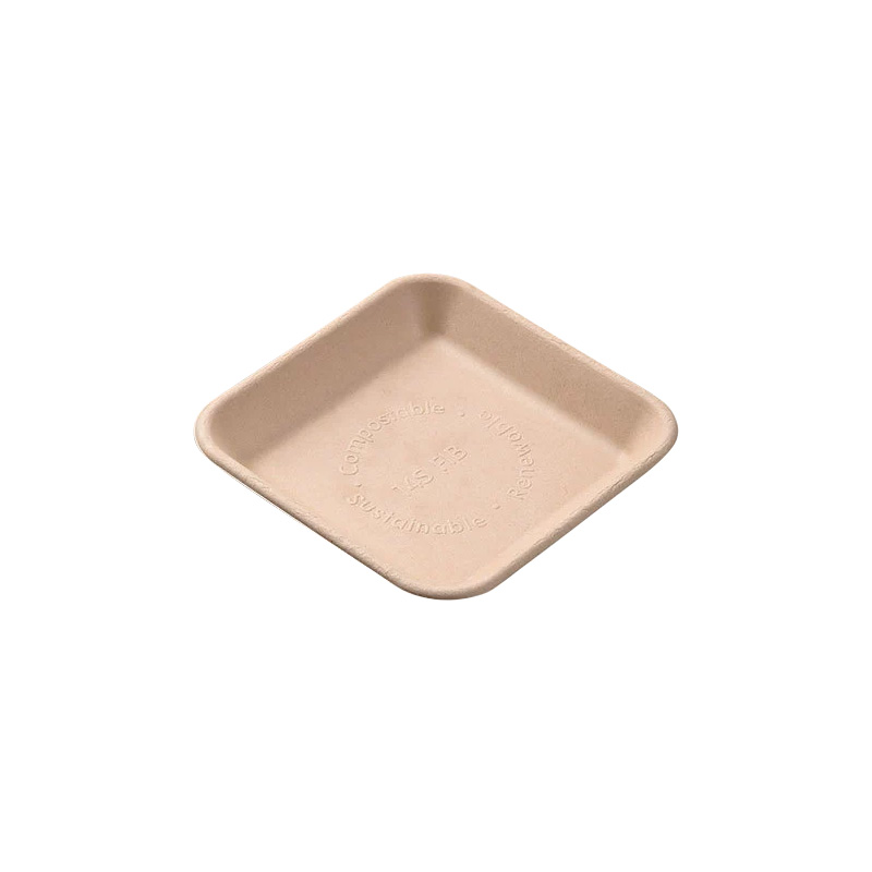 Heavy Duty Large Bagasse Plate