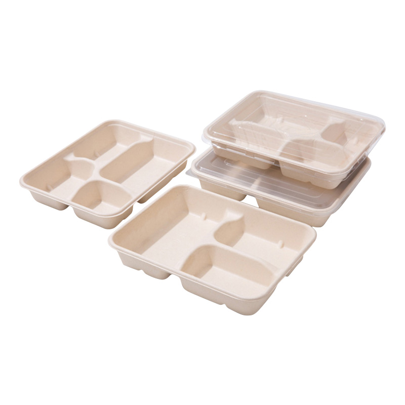 Disposable Sugarcane Food Tray