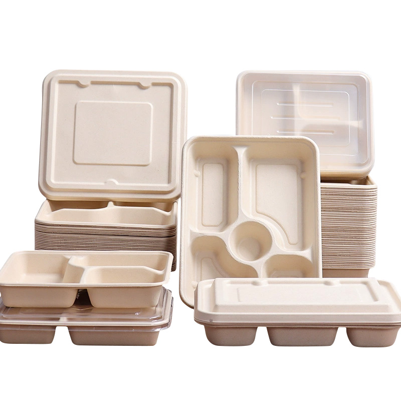 Sugarcane Pulp Tray Manufacturer